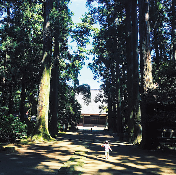 飯高壇林が置かれた飯高寺境内。