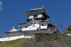 掛川城の二の丸御殿は全国的にも珍しい現存城郭御殿。二の丸御殿が残っているのは京都・二条城と掛川城のみで、国の重要文化財に指定されている。
