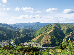 1000年以上の歴史を持つ世界遺産であり日本の聖地、熊野古道のある和歌山県