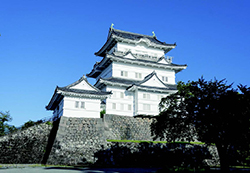 小田原藩の藩庁が置かれた小田原城。城跡は国の史跡に指定されている。