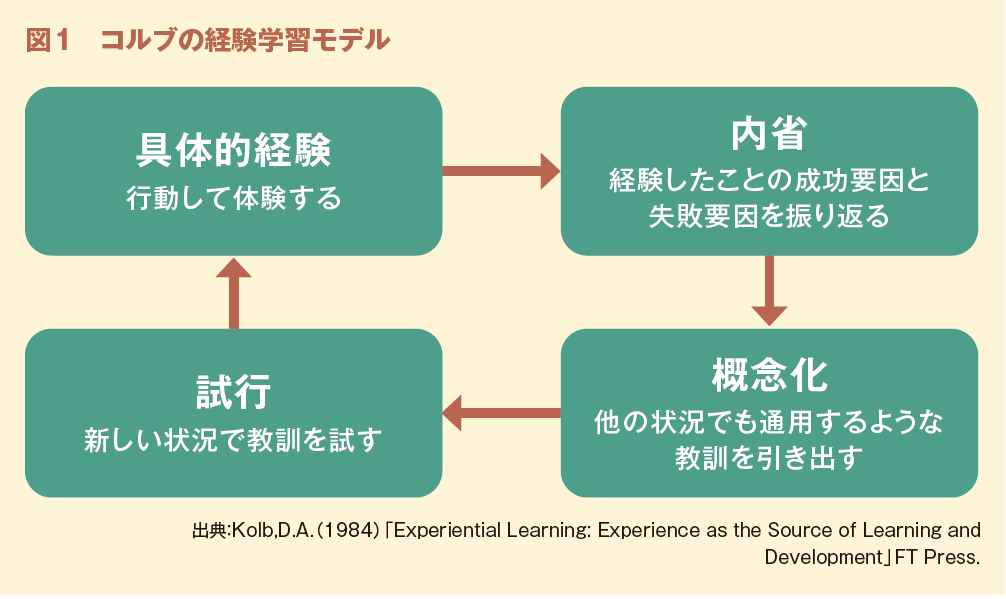 図1　コルブの経験学習モデル