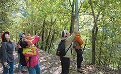 フィールド研修では、自然の中での共同作業を通じて、チームとしての結束や信頼関係を育む。